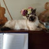 princeteddy24